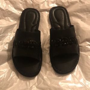 Born women’s St Francis